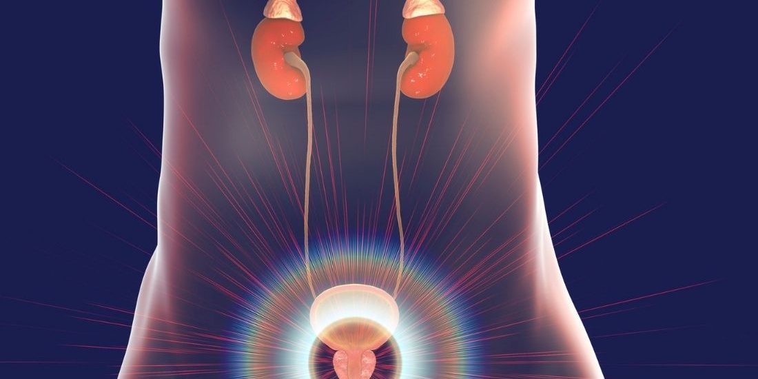 prostat hastalıkları