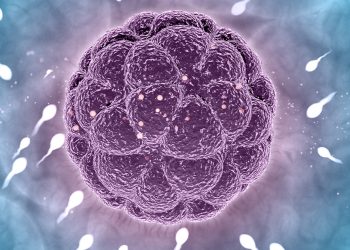 sperm dna hasarı