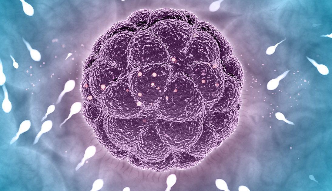 sperm dna hasarı