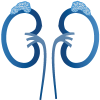 Prof. Dr. Abdullah Armağan